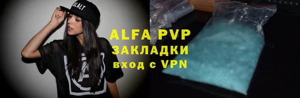 стаф Волоколамск