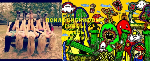 a pvp Володарск