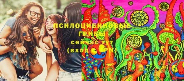a pvp Володарск