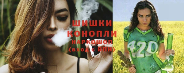 стаф Волоколамск