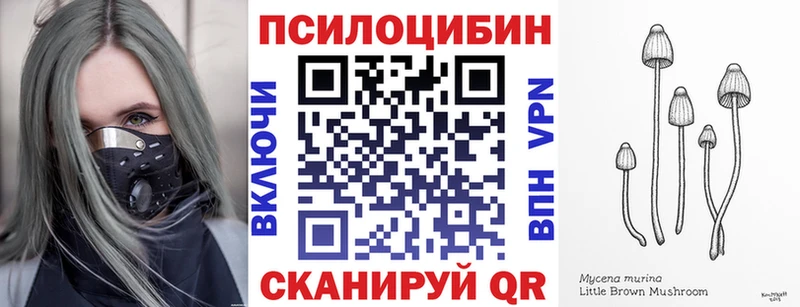 Псилоцибиновые грибы ЛСД Невинномысск
